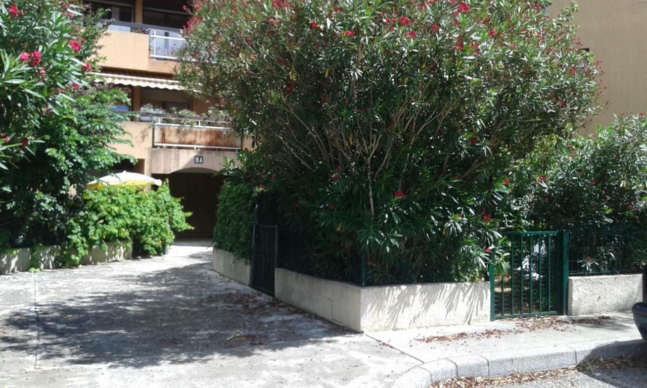 Joli Studio Avec Jardinet Avignon Eksteriør billede